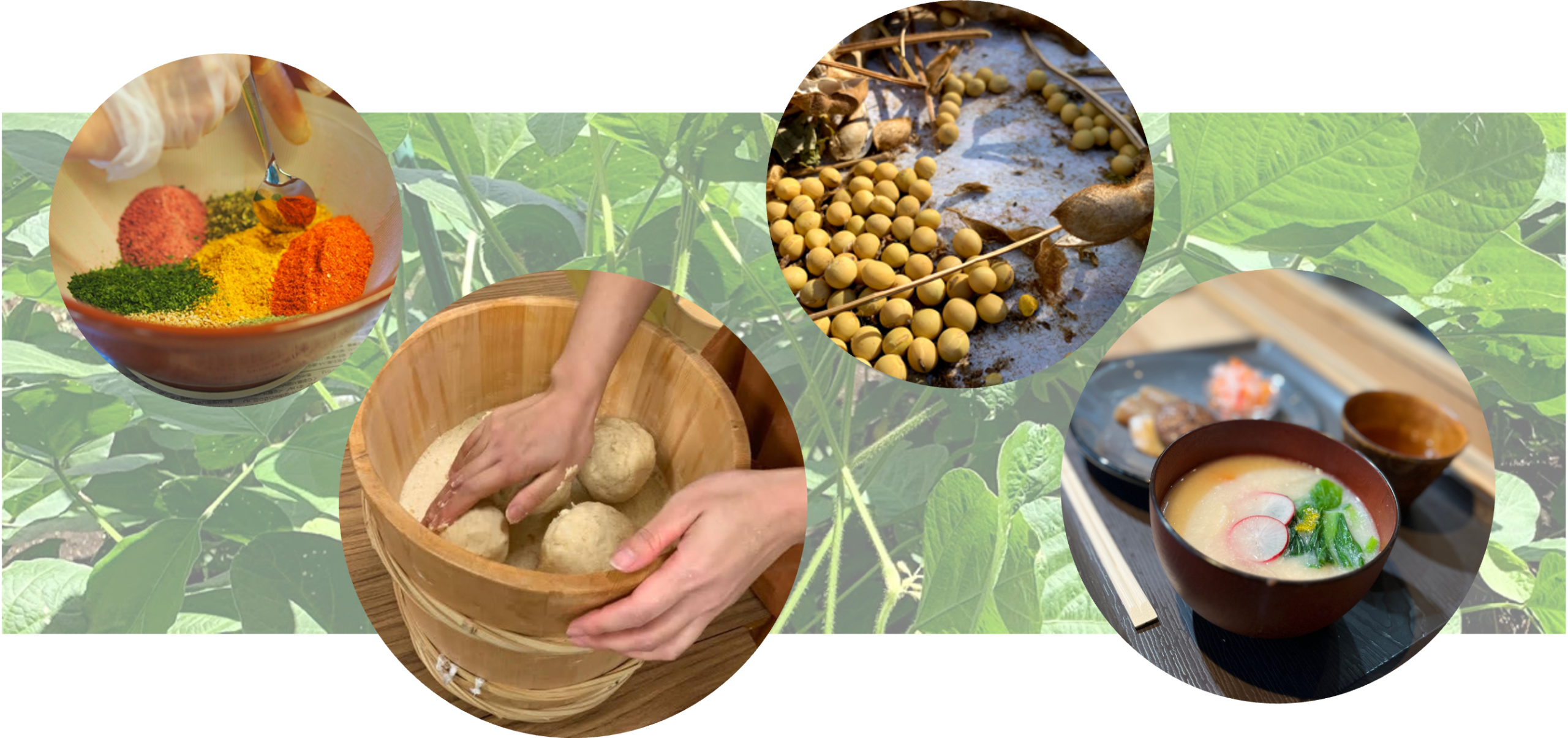 「七十二候の台所」手前味噌づくり実演＆体験と手しごとのお話の交流イベント開催（4/4(土)）